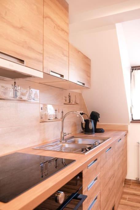 L'Escapade Citadine Lejlighed Bischheim Eksteriør billede